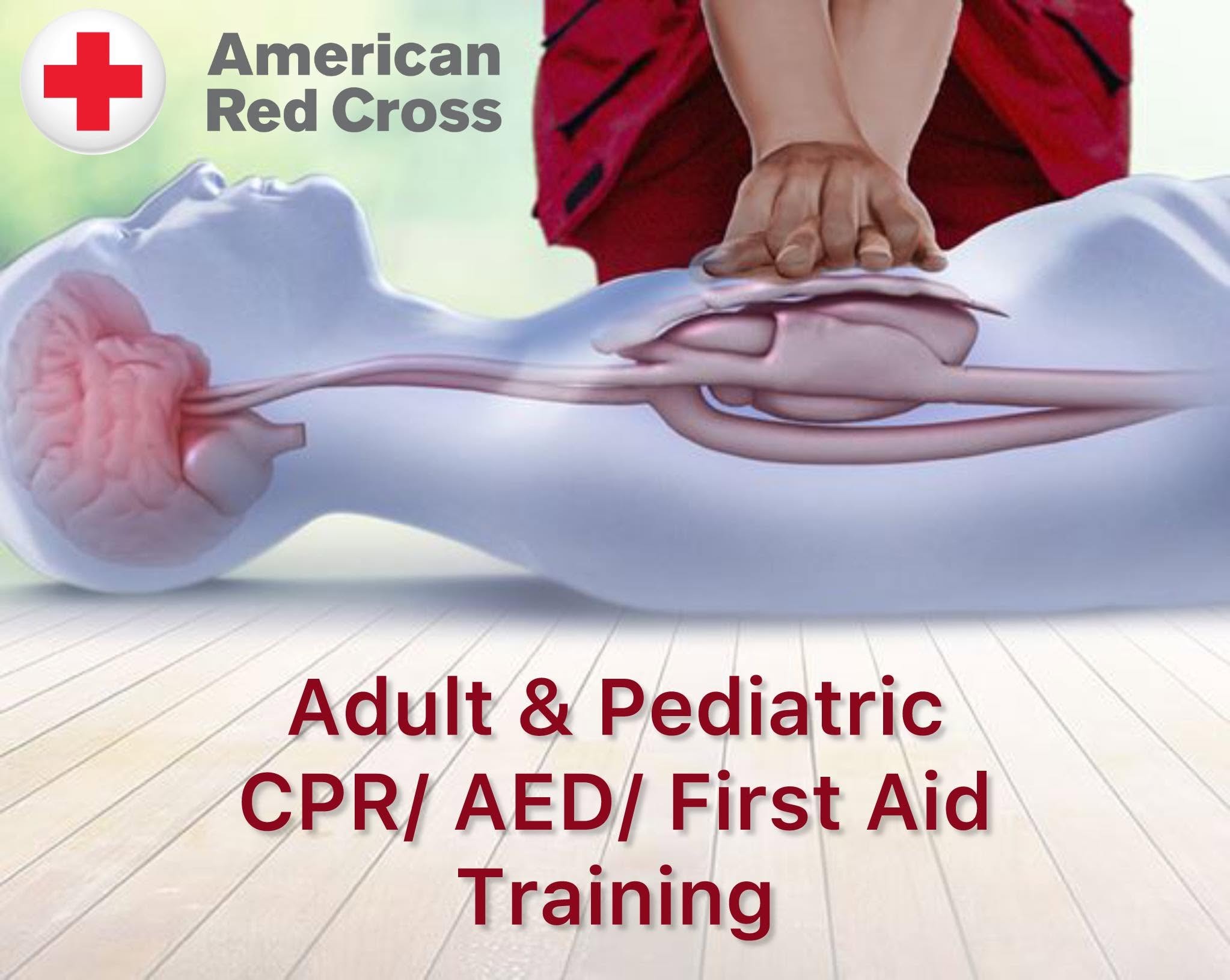American Red Cross CPR training demonstration